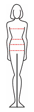 body measurements 